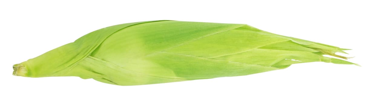 ear of corn isolated on a white background (with clipping work path)