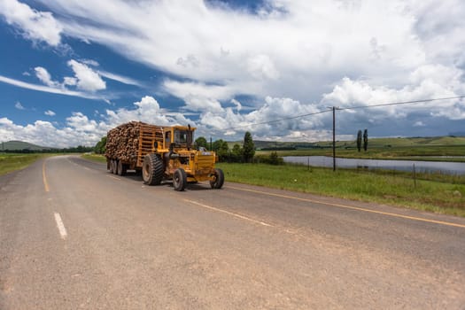 Tractor drives along mountain road carrying tree logs for wood mills near farming town in mountain countryside.