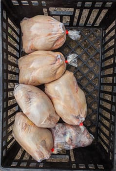 Agriculture poultry small scale abattoir with organic chickens ducks processed and packed for farmers market.