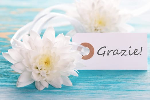 Label with the Italian Word Grazie which means Thanks on turquiose Wood with white Flowers