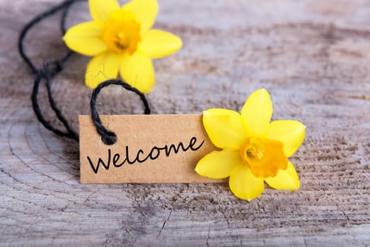 Welcome Label with Narcissus in the Background, Welcoming Sign in Spring Design