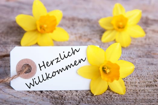 Label with the German Words Herzlich Willkommen which means Welcome and Narcissus Blossoms