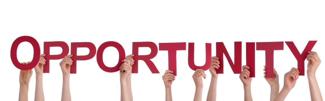 Many Hands Holding the Word Opportunity, Isolated