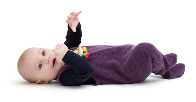 young child isolated on white background looking to camera