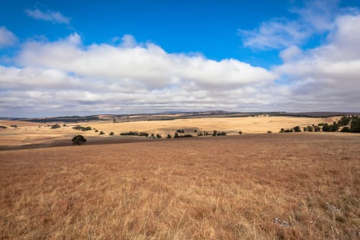 Road color scenic beauty contrast over rural countryside farming landscape