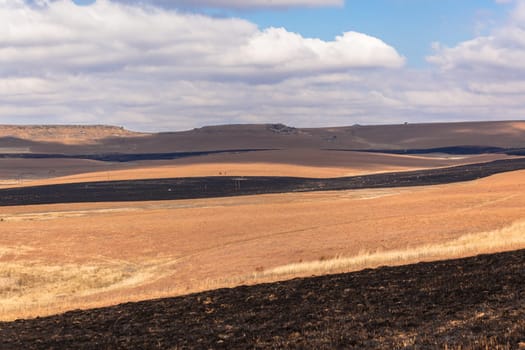 Fire burned land color contrast over rural countryside landscape