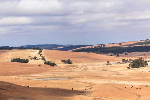 Road color scenic beauty contrast over rural countryside farming landscape