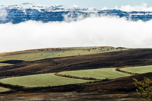 Mountains snow mist rising over rugged terrain with color contrast and cattle over the scenic landscape