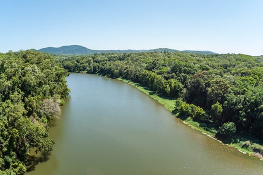 River birds eye view overlooking thick tropical jungle wilderness trees vegetation landscape