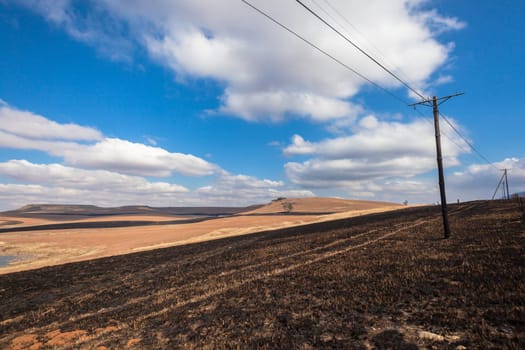 Fire burned land color contrast over rural countryside landscape
