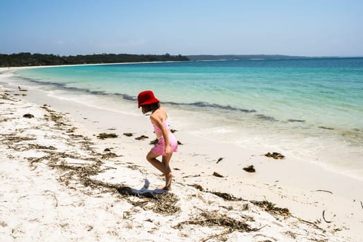 Scenic Beach Blue Ocean Sea  Water Coastline