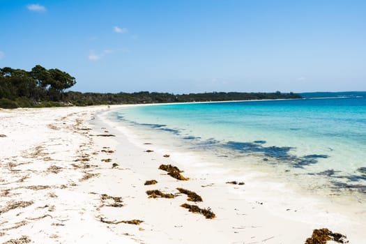 Scenic Beach Blue Ocean Sea  Water Coastline