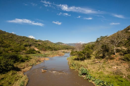 River birds eye view overlooking thick tropical jungle wilderness trees vegetation landscape