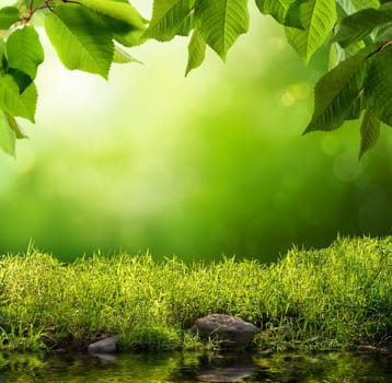 Green background with grass,water,trees and light effects