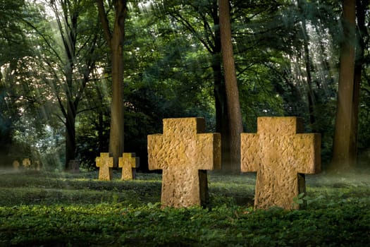 An honorary cemetery with cross-shaped gravestones in a beautiful light mood