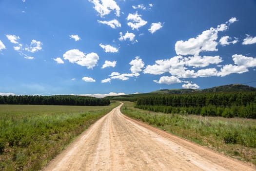 Dirt road winding through mountain scenic terrain with tree forests to the horizon on a summer blue day with cloud puffs
