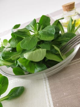 A bowl of field salad