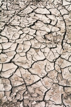 dried up soil