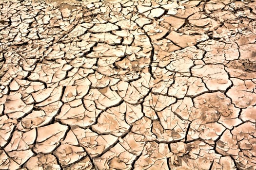 dried up soil