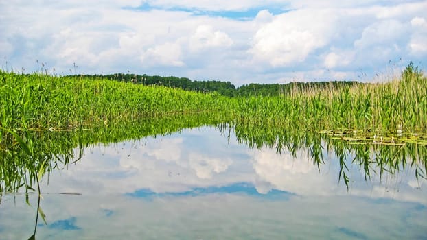 canoe on a river canal surrounded by reed