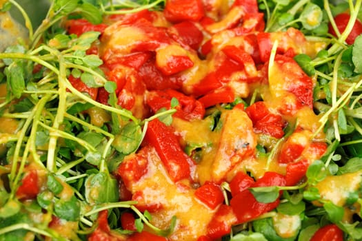 Organic ginger sesame dressing on roasted sweet red peppers and watercress salad up close..
