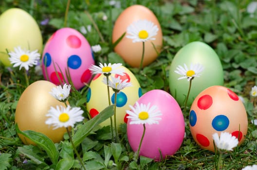colorful Easter eggs with daisies