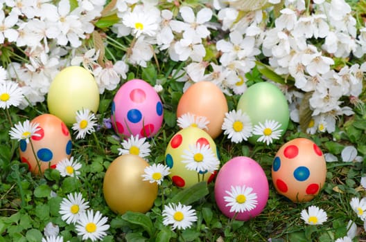 colorful Easter eggs with daisies