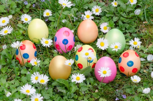 colorful Easter eggs with daisies