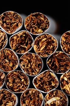 Close-up of Tobacco Cigarettes Background or texture
