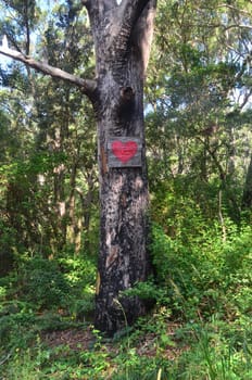 tree heart