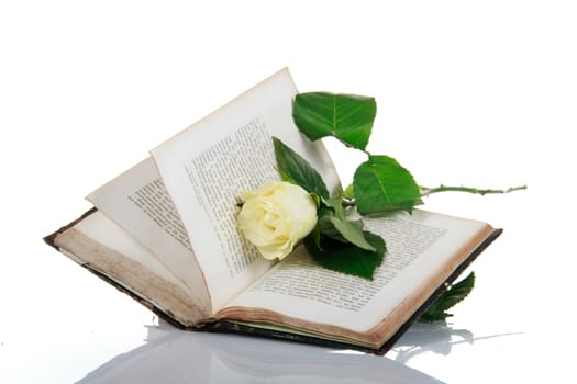 Antique book with a yellow rose