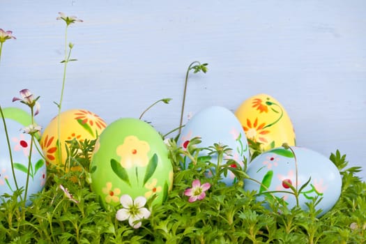 Colorful Easter eggs on grass with small blueten in front of blue