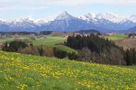 Bavaria in spring