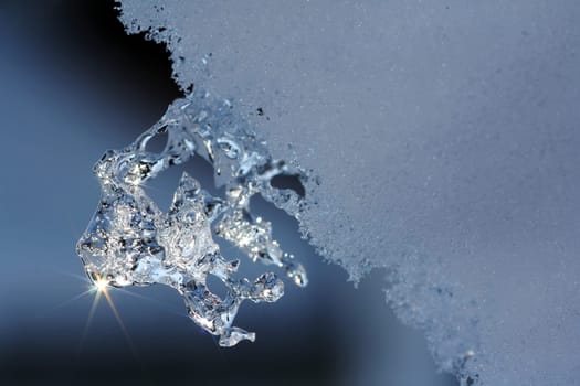 The Ice Sculpture
