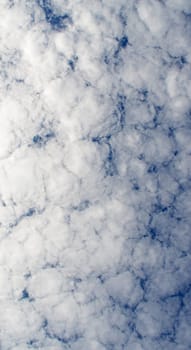 cirrocumulus sheep clouds