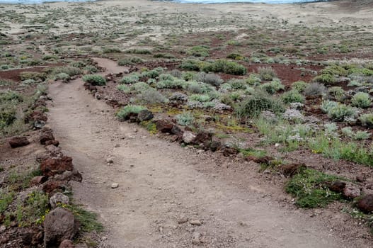 Travel Concept Background - Pathway in the Volcanic Desert Tenerife Canaty Islands Spain