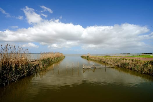 The pond of Cabras is one of the most important wetlands of Sardinia. Located north of the Gulf of Oristano. Form a wetland ecosystem among the largest in Europe and protected by the Ramsar Convention.