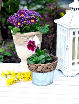 Garden spring shabby chic