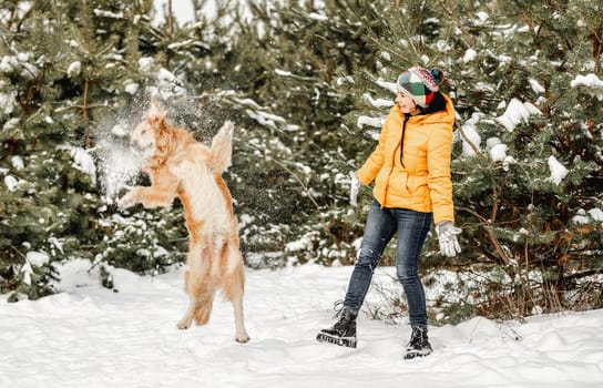 Golden retriever dog in winter time playing with girl owner in snow. Young woman walking with doggy pet in forest in cold weather