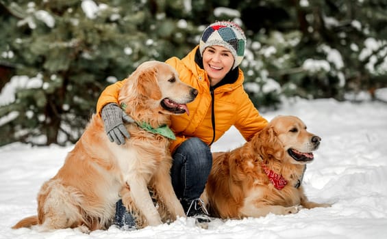 Golden retriever dogs in winter time with girl owner posing in snow. Young woman looking at camera with doggy pets in forest in cold weather