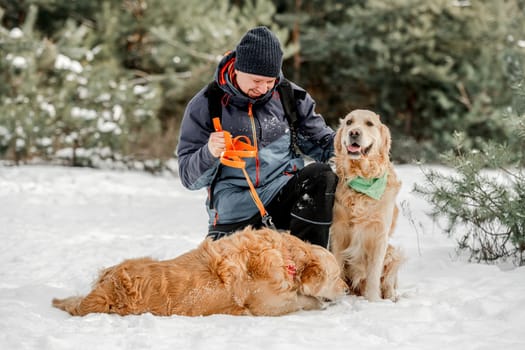 Guy owner petting golden retriever dogs in winter time in snow. Man with doggy pets in forest in cold weather