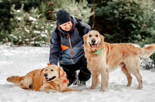 Guy owner petting golden retriever dogs in winter time in snow. Man with doggy pets in forest in cold weather