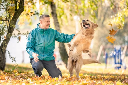 Man playing with his dog golden retriever in autumn park