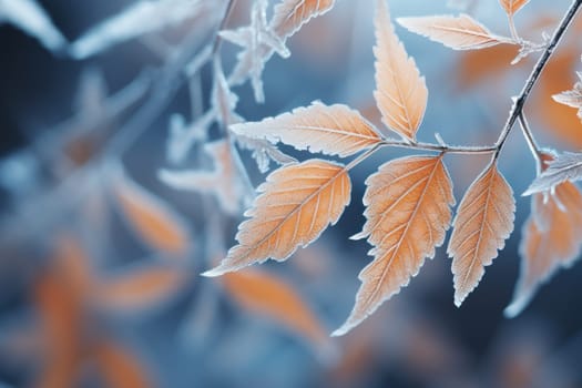 An exquisite display of artistry, capturing the intricate and mesmerizing patterns formed by frost on windows, leaves, and various surfaces through the lens of macro photography, resulting in striking and abstract visual compositions.