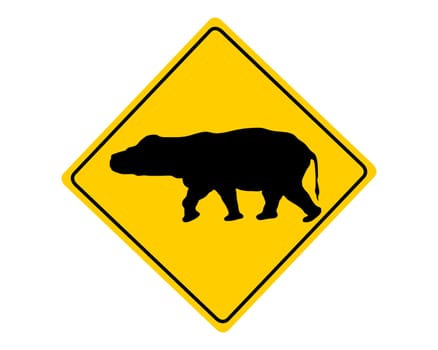 Attention hippo