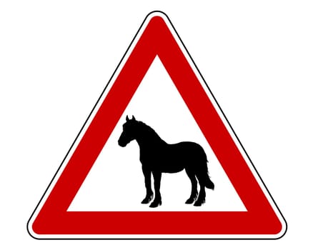 Attention horse