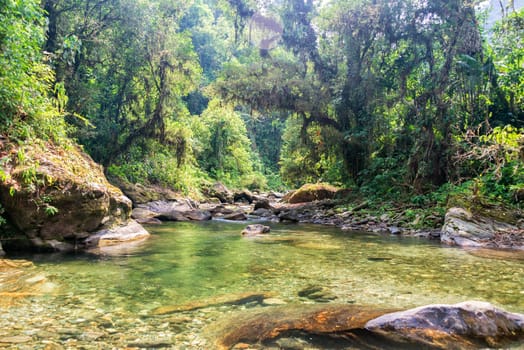 River running through the jungle in the Sierra Nevada de Santa Marta in Colombia