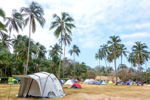 Campsite in a grove of palm trees in Tayrona National Park near Santa Marta, Colombia
