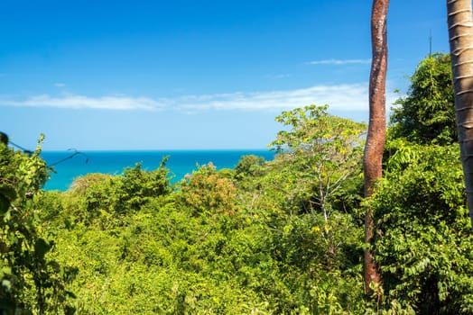 Lush green jungle with Caribbean Sea in the background