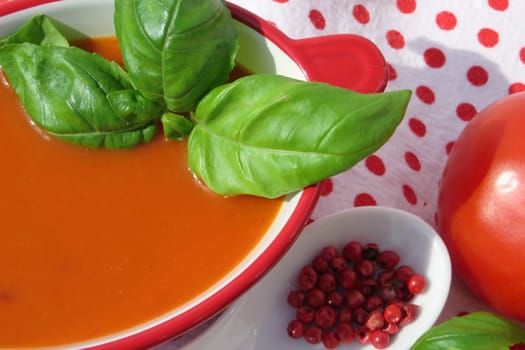 Tomato soup